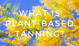 Leather Tanning Process and Sustainability